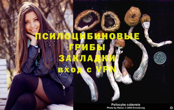 дмт Осинники