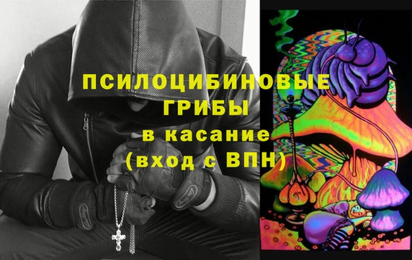 ГАЛЛЮЦИНОГЕННЫЕ ГРИБЫ Остров