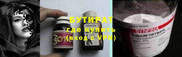 стаф Гатчина
