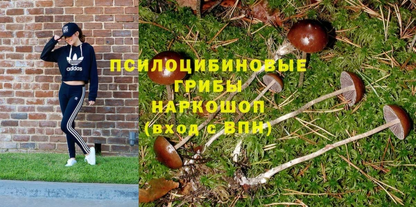 дмт Осинники
