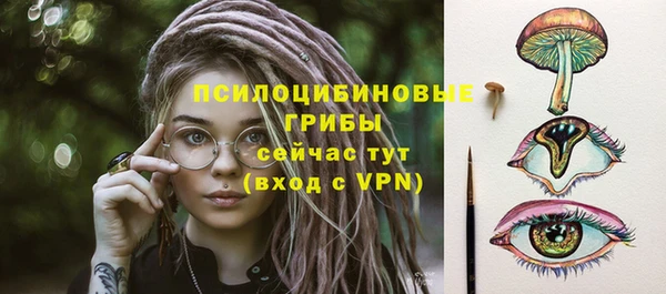эйфоретик Осташков