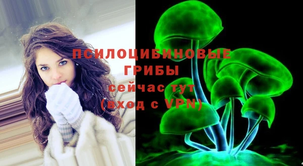 дмт Осинники