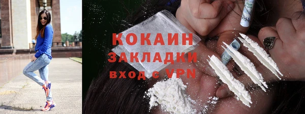 дмт Осинники