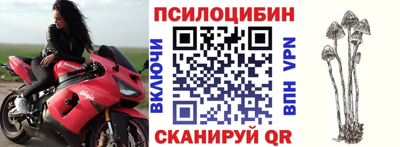 Псилоцибиновые грибы прущие грибы  цены   Апшеронск 
