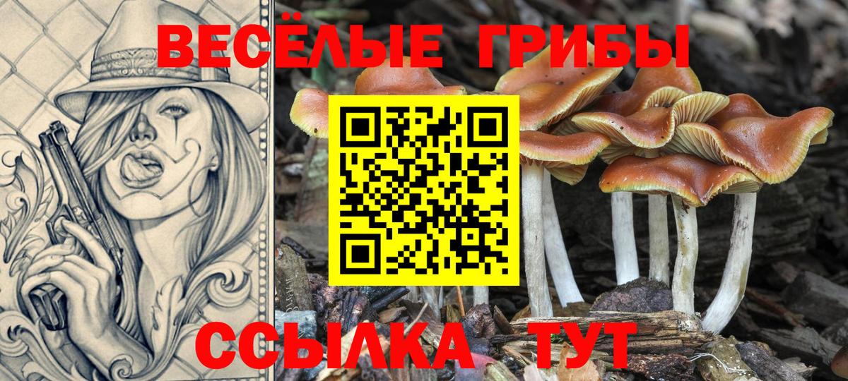 Галлюциногенные грибы Magic Shrooms  Галлюциногенные грибы прущие грибы  Апшеронск  Вход с VPN 