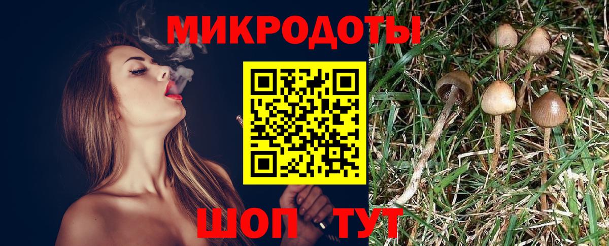 Каннабис Апшеронск